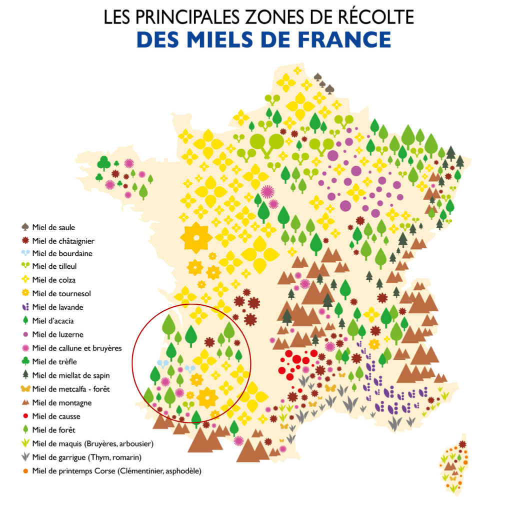 L'Essaim de la Reine