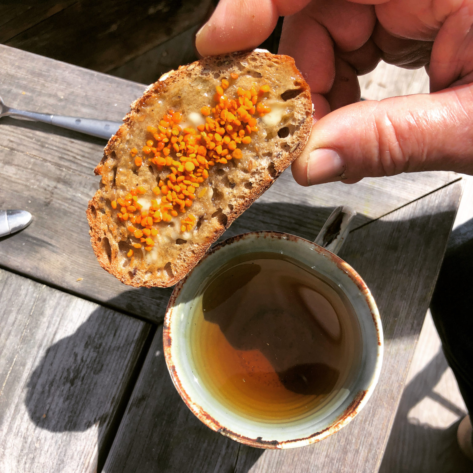 Tartine de pollen