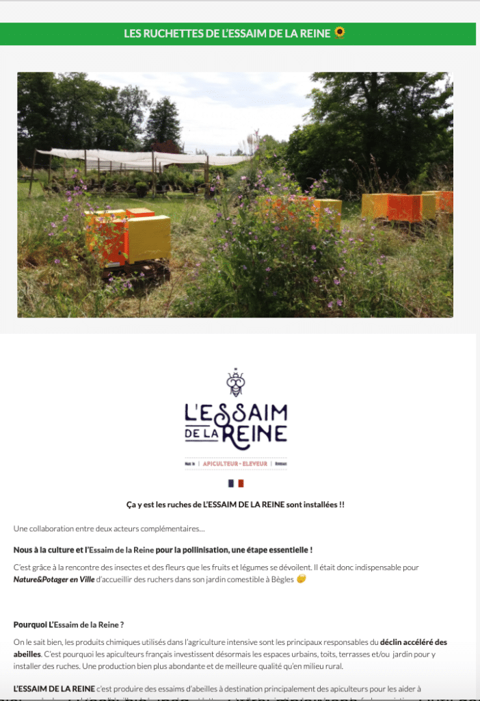 L'Essaim de la Reine