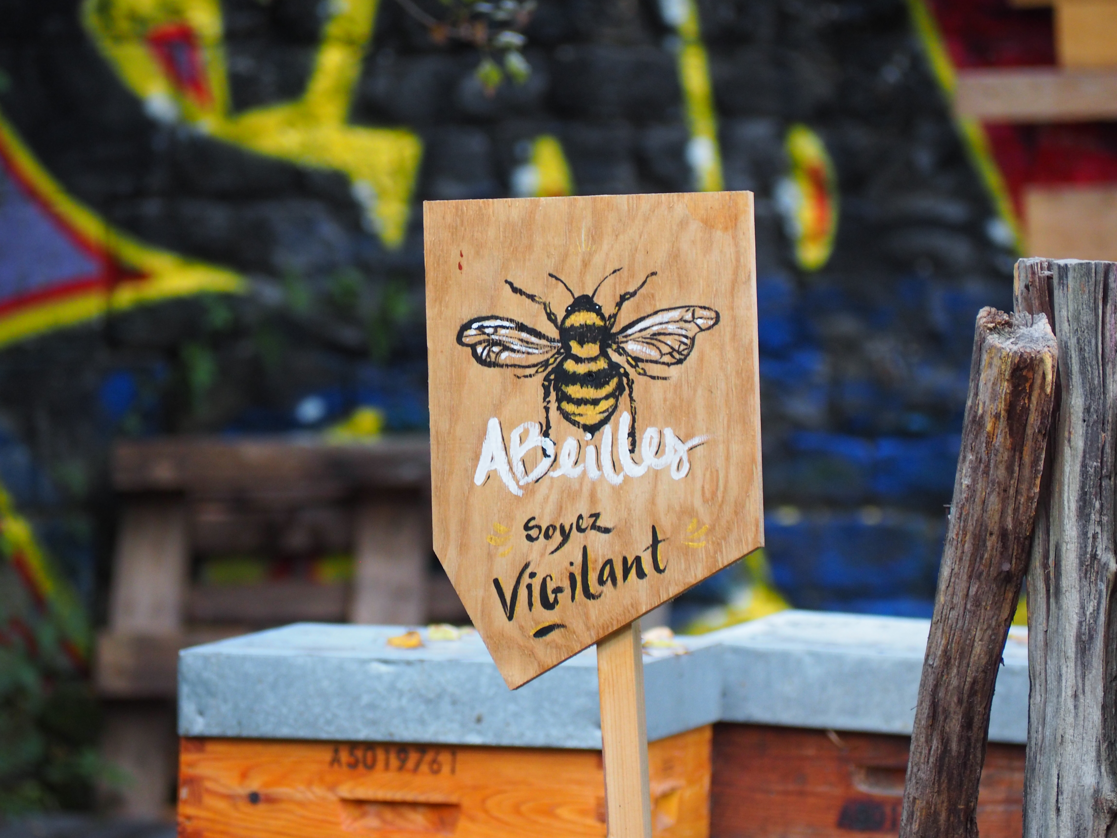 L'apiculture urbaine
