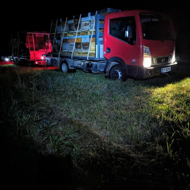 On the road again ! Et une transhumance de plus sur le tournesol 🌻💪🚚🐝
On est bien tout seul sur nos belles route de campagnes gasconnes où on a la chance d'admirer de magnifiques ciels étoilés en ce moment. Enfin pas en conduisant 😅
#miel #apiculture #sudouest #wildlife #essaim_de_la_reine #transhumance